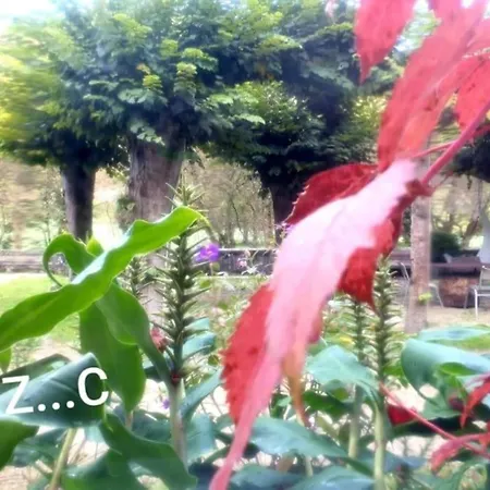 Zentral Club Electron- Jacuzzi. Бельмонте-де-Миранда