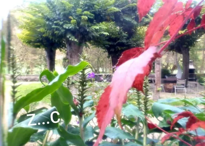 Zentral Club Electrón- Jacuzzi. Belmonte De Miranda